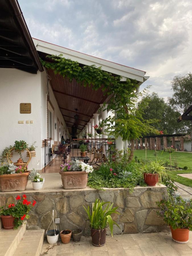 Country Club La Mesteceni Sebeş 외부 사진